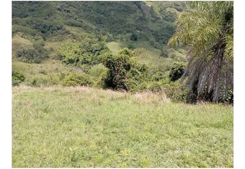 Vendo Finca De 30 Cuadras En Damasco Para Ganadería Cerca La Pintada
