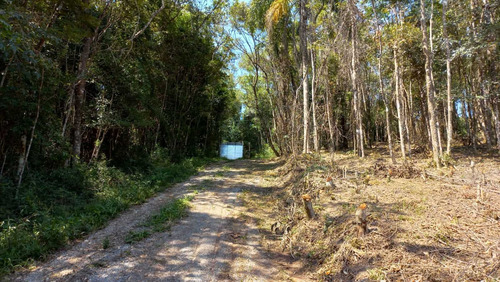 Imagem 4 de 14 de Vm41- Oportunidade! Lote A 1km Da Represa!
