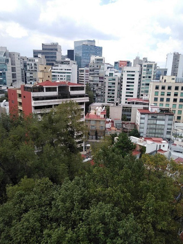 Imagen 13 de 14 de Pent House Con Bonita Vista. Edificio Enfrente Del Parque