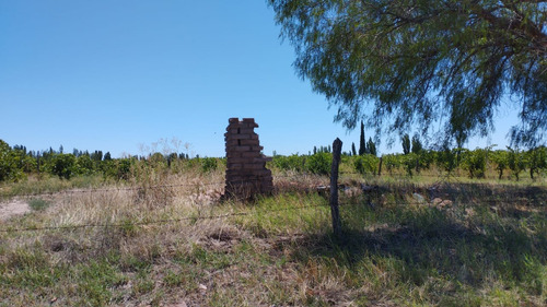 Terreno En San Rafael Mendoza 1,2ha