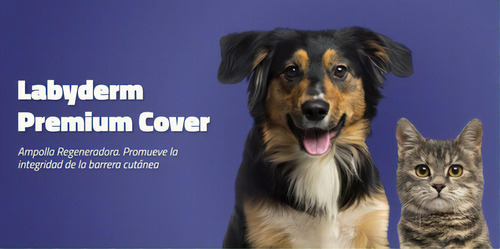 Labyderm Premium Cover Repara Piel Perros Gatos 2 Ml Labyes
