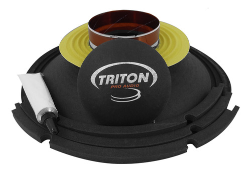 Kit Reparo Alto Falante Triton 10 Slx 600 8 Ohms Original