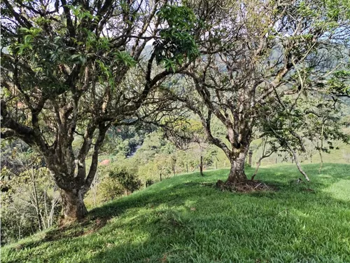 Lote En Venta, Los Cedros, Cocorná