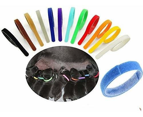 Sowaka12 Pcs Puppy Ballestas Cuellos Multicolor Doble 6jcls