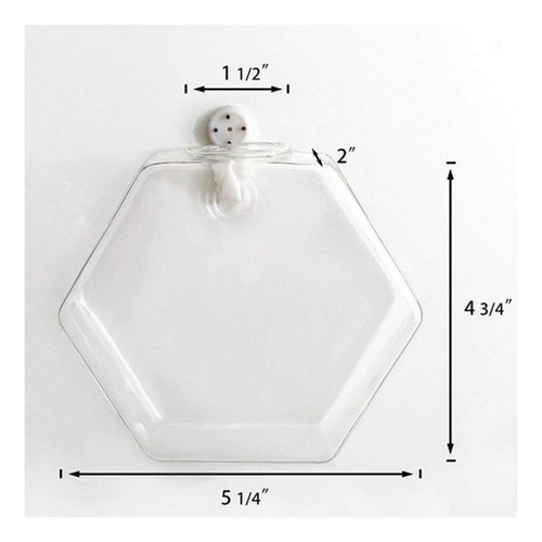 Maceta De Planta De Agua Hexágono 17cm