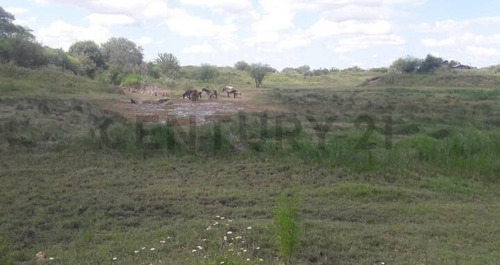 Campo Ganadero En Carcaraña. Con Quincho Y Casa
