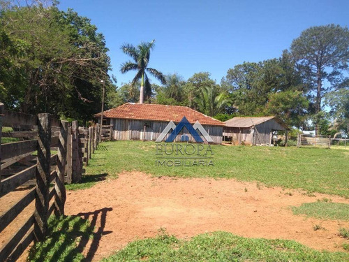Imagem 9 de 12 de Fazenda Com 3 Dormitórios À Venda, 3993000 M² Por R$ 18.150.000,00 - Zona Rural - Presidente Venceslau/sp - Fa0004