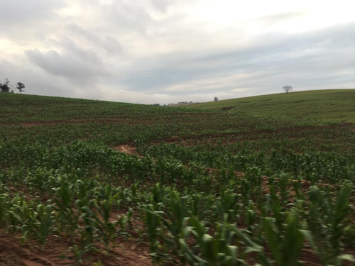 Imagem 9 de 15 de Fazenda Para Venda Em Piraju, Rural - Faz 133_1-1938778