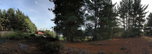 Terreno En Los Pinos A Pasos Camino Pavimentado