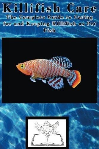 Killifish Care The Complete Guide To Caring For And Keeping 