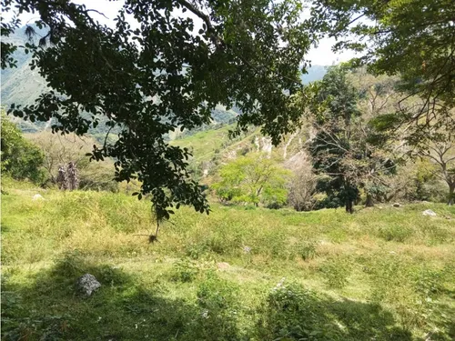 Venta Finca El Limonar Ebéjico