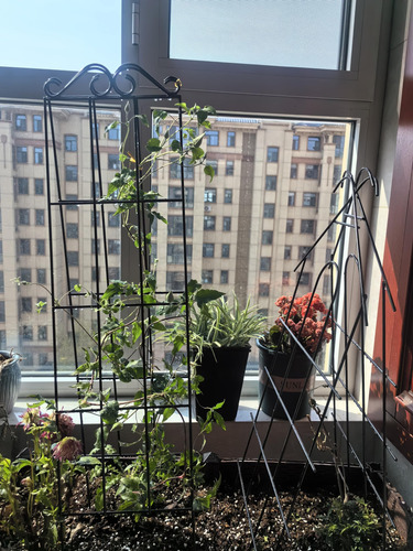 Arifaro Enrejado De Jardín De Metal De 37.5 Pulgadas Para .