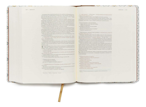 Nvi Biblia De Apuntes Blanco Y Azul Imitacion Piel