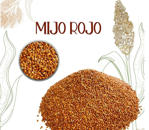 Mijo Rojo Semilla - Grano 1 Kil - Kg a $12000