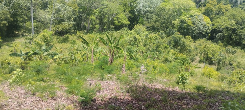 Finca En Venta Monte Plata70