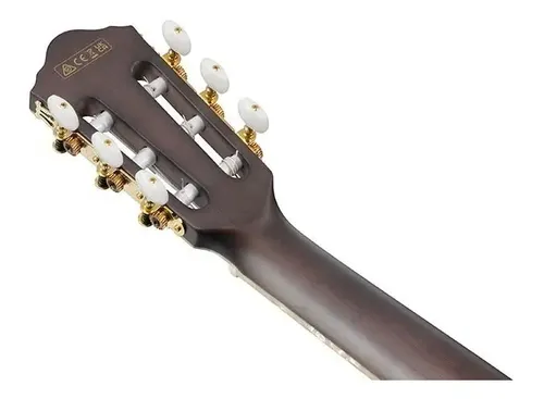 Violão Eletroacustico Nylon Ibanez Tod10n Tim Henson | Frete grátis