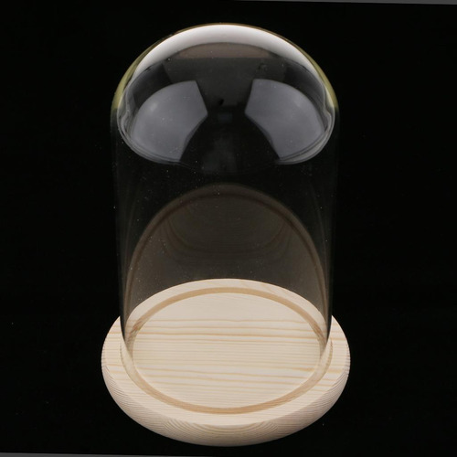 Cúpula Clara Con Base De Madera