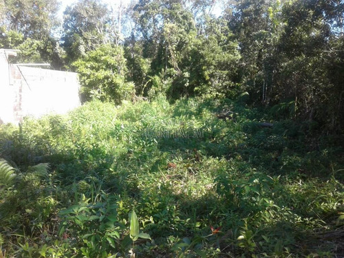 Imagem 5 de 6 de Terreno - Venda - Grandesp - Itanhaem - Ita3206