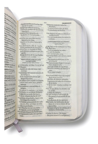 Imagen 4 de 10 de Biblia Reina Valera 1960 Letra Grande Manual Cierre Arcoiris