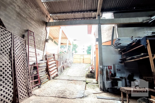 Imagem 5 de 15 de Prédio À Venda No São João Batista - Código 278519 - 278519