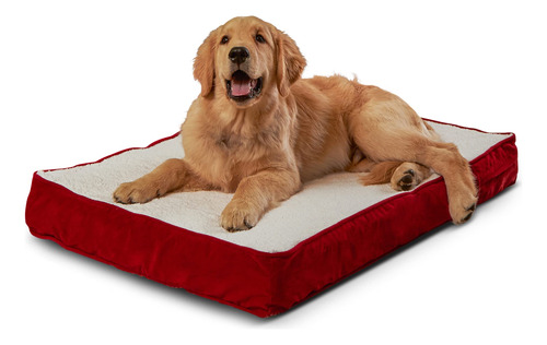 Oscar - Cama Ortopédica Para Perros Pequeña (36 X 24 PuLG.