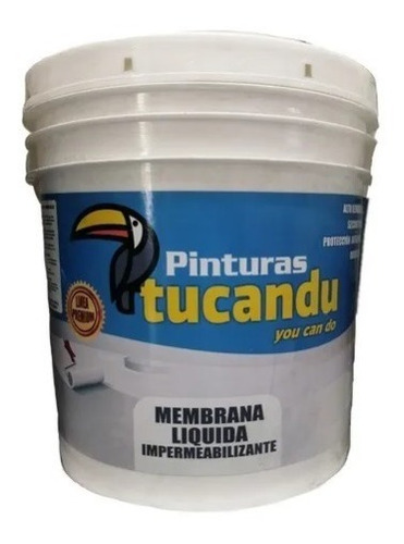 Pintura Membrana Liquida Impermeabilizante Premium 4l Ft