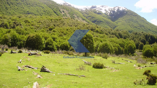 Lindo Terreno Con Estero En Venta En Futalefu
