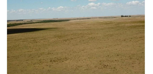Imagen 2 de 10 de Terreno Campo En Venta Ubicado En Río Negro, Río Negro