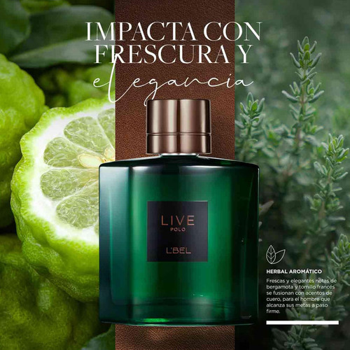 Perfume Masculino Live Polo 100ml. L'bel