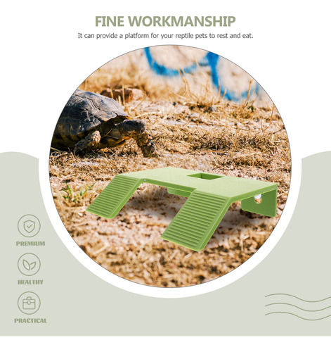 Plataforma Para Trepar Tortugas Y Tomar El Sol, Tanque De To