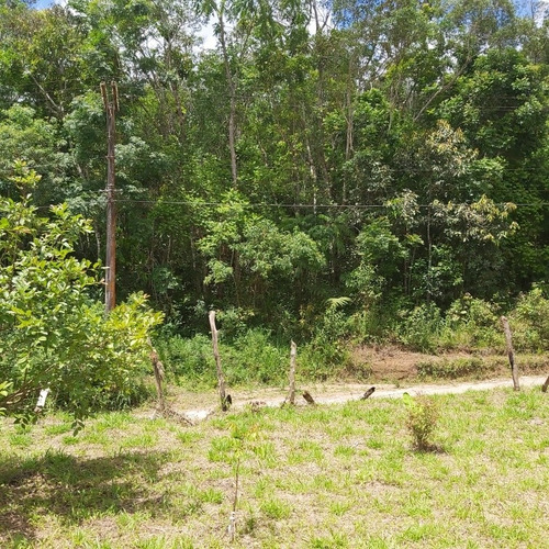 Imagem 3 de 12 de Terreno Em Juquítiba Sp 5 Mil Metros