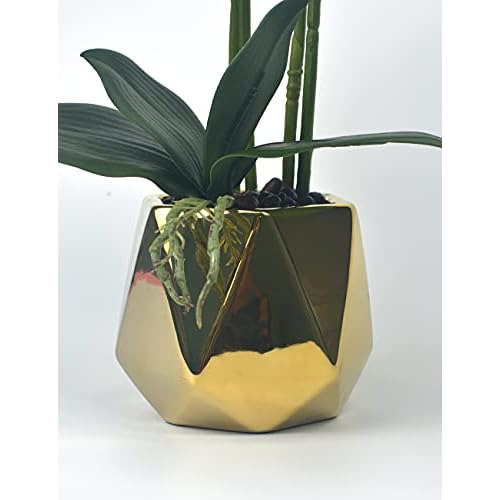 Plantas Y Flores De Orquídeas Artificiales Maceta De C...