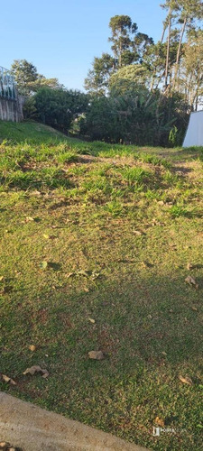 Imagem 4 de 30 de Terreno À Venda, 589 M² Por R$ 650.000,00 - Chácaras São Carlos - Cotia/sp - Te0140