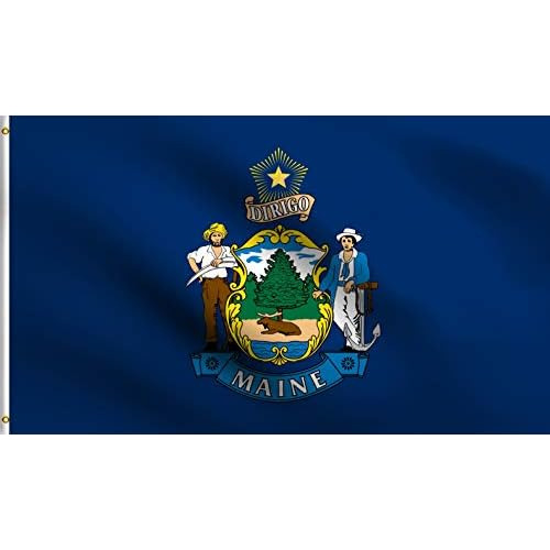 Dmse Maine 1641 23rd State Flag 2x3 Ft Foot 100% Polyes...
