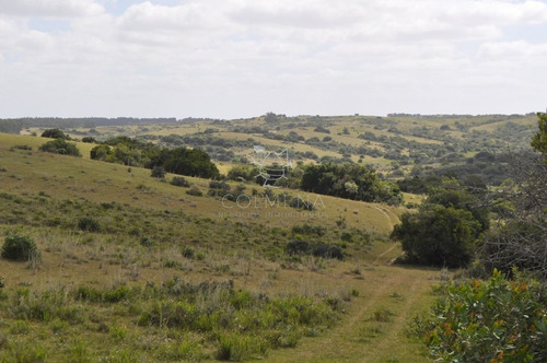 Imagen 12 de 30 de Venta De Chacras De 5 Has Se Ubicado En Garzon - Garzón Garzon