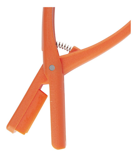 De Herramienta Eficaz Para Mariscos, Protección De Naranja