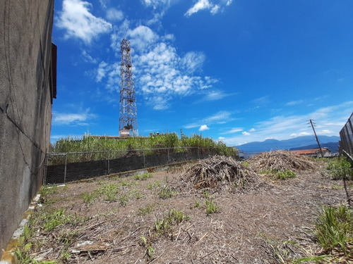 Imagen 5 de 7 de Terreno En Venta En Urb. El Limón San Antonio De Los Altos