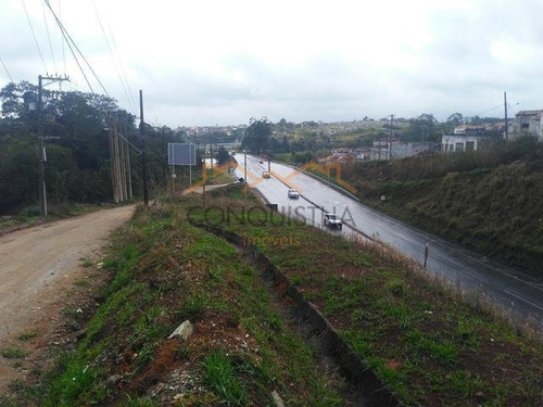Imagem 5 de 7 de Area - Chacara Recanto - Ref: 2216 - V-4400