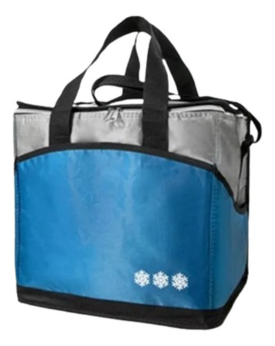 Pack 6 Bolsos Térmicos Coolers De Comida Bebida 30x25cm