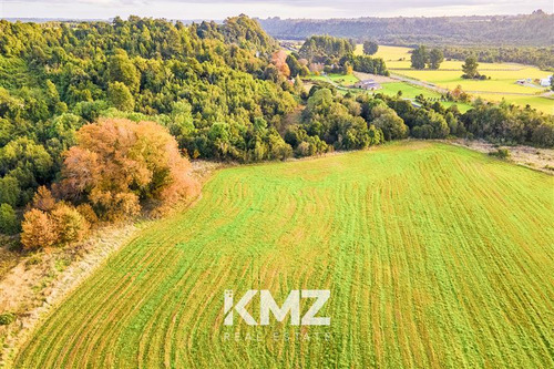 Parcela 5000 M2 En Venta En Puerto Varas , Estero Y Bosques