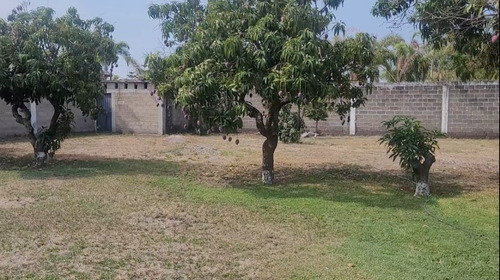 Terreno En Venta En Jonacatepec, Morelos