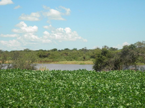 Estancia Isla Vizcaino 1569ha Ganadero Agricola Rio Negro Y Rio Uruguay
