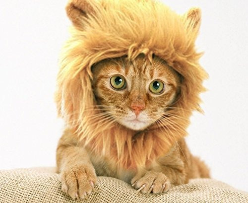 Prymal Lion Mane Dog Cat Costume Tambien Se Puede Utilizar