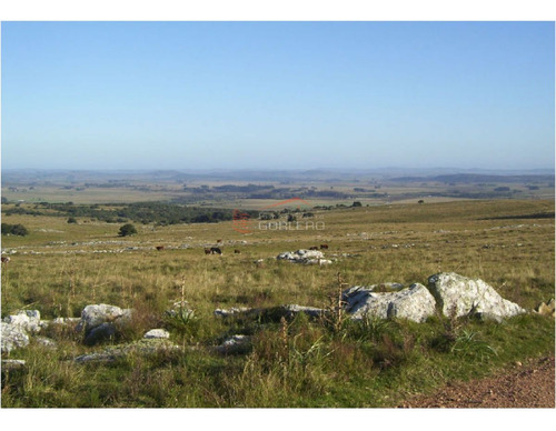 Imagen 7 de 21 de Campo En Uruguay, Aiguá, Ruta 13