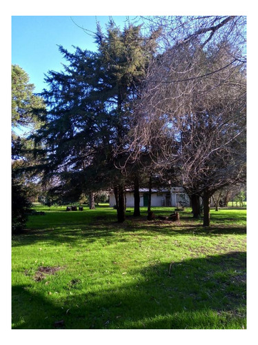 Imagen 14 de 14 de Quinta En Venta - 3 Dormitorios 3 Baños - 180mts2 - Miramar