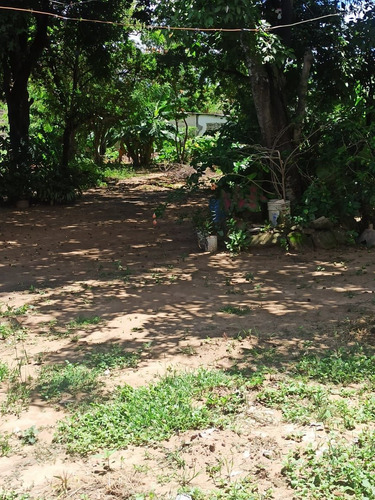 Venta De Terreno, Centro De Guacara, Calle Marino