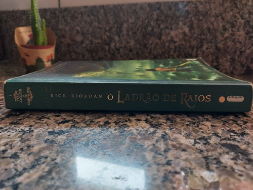 Percy Jackson O Ladrão De Raios - Livro Usado