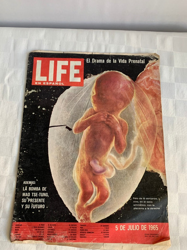 Lote Revistas Life Vida Prenatal 1965 Y La Fotografía 1967 