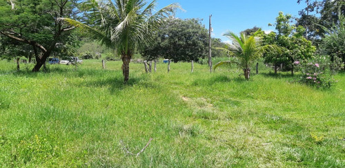 Imagem 3 de 15 de Fazenda Para Venda Em Monjolos, Quebra Pé, 4 Dormitórios, 1 Banheiro - F16_1-1713401