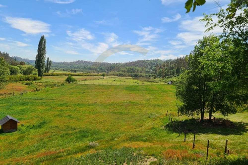 Se Vende Parcela. Camino A Rafael 10,93 Ha.